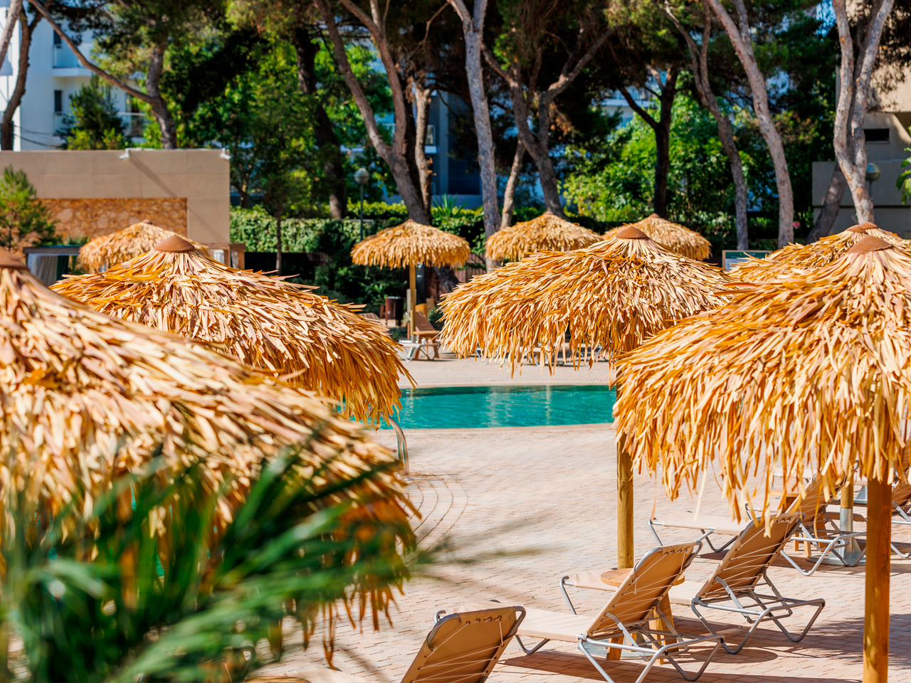 galeria-abumar-hotels-ach-1